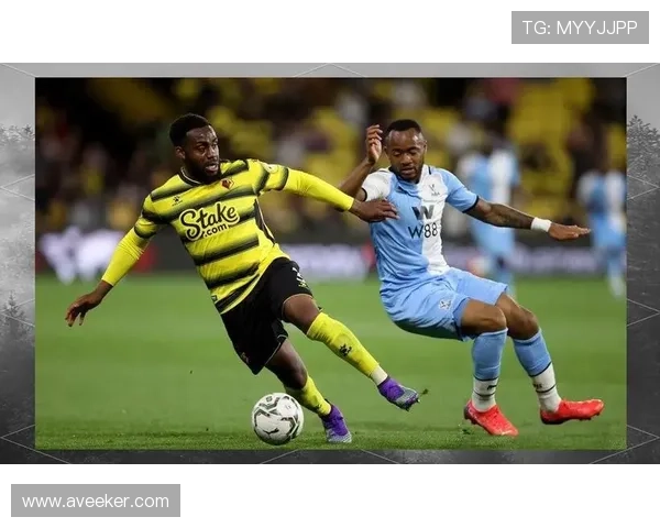 诺维奇俱乐部迎来新赛季挑战 改变策略重塑球队核心竞争力